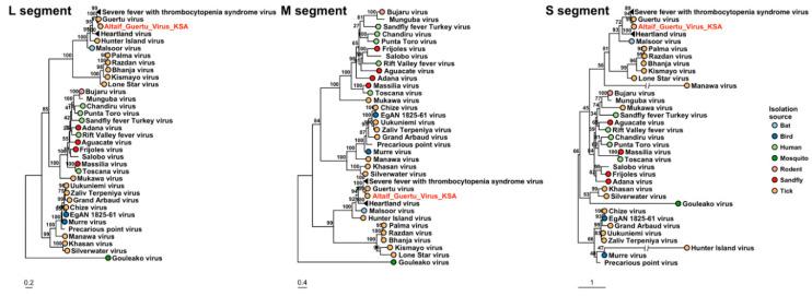 https://cdn.ncbi.nlm.nih.gov/pmc/blobs/e078/8310382/08e5c92ed0cd/viruses-13-01396-g005.jpg