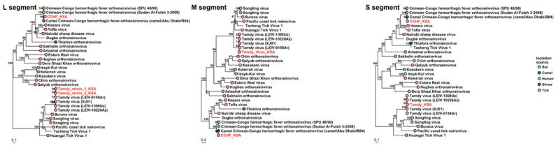 https://cdn.ncbi.nlm.nih.gov/pmc/blobs/e078/8310382/3c7523aaae09/viruses-13-01396-g003.jpg