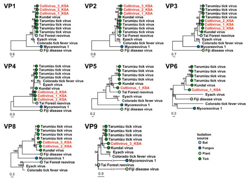 https://cdn.ncbi.nlm.nih.gov/pmc/blobs/e078/8310382/d18d77bd2eb8/viruses-13-01396-g006.jpg
