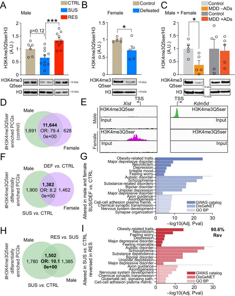 https://cdn.ncbi.nlm.nih.gov/pmc/blobs/e080/11176395/224d624ce404/41467_2024_49336_Fig2_HTML.jpg