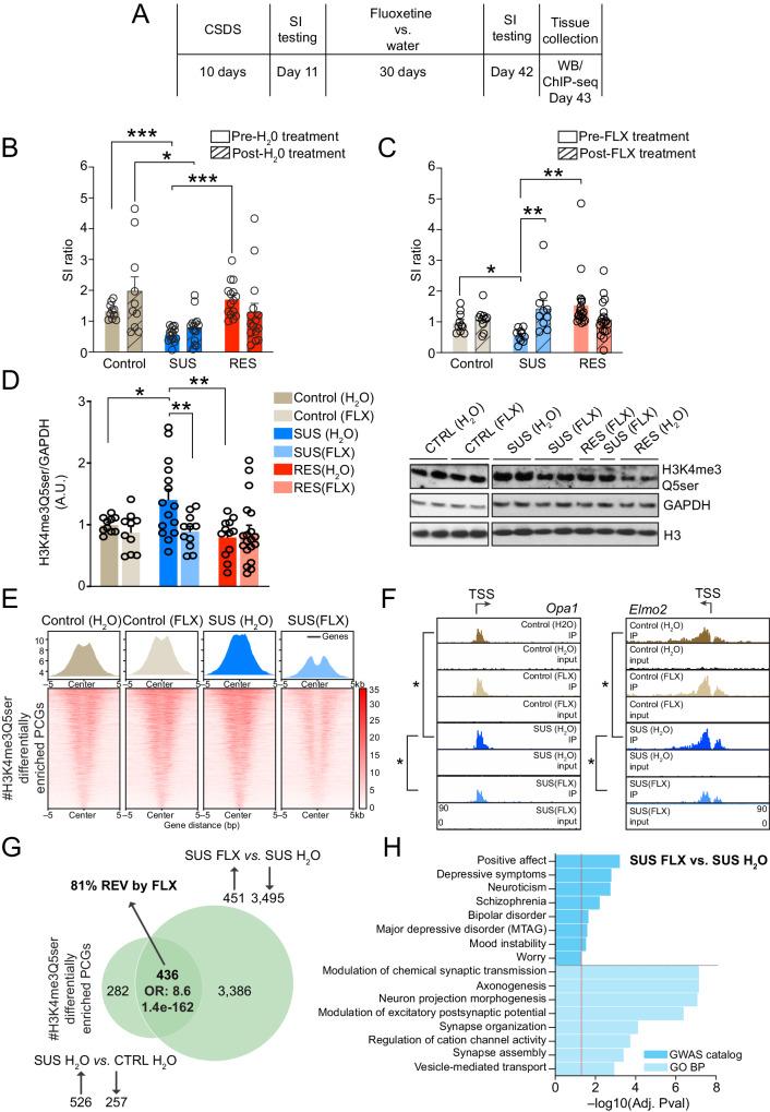 https://cdn.ncbi.nlm.nih.gov/pmc/blobs/e080/11176395/4c958e3900e5/41467_2024_49336_Fig3_HTML.jpg