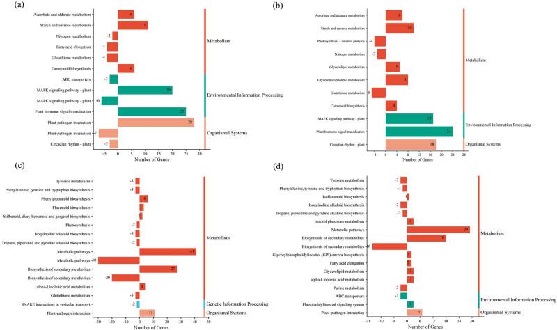 https://cdn.ncbi.nlm.nih.gov/pmc/blobs/e080/12103181/f15171fce387/j_biol-2025-1107-fig006.jpg