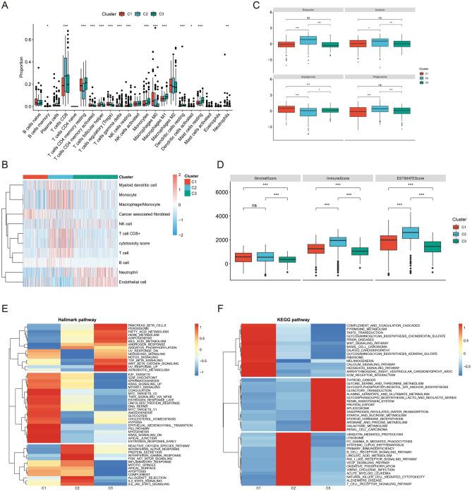 https://cdn.ncbi.nlm.nih.gov/pmc/blobs/e082/11303797/4e562999ea58/41598_2024_69183_Fig5_HTML.jpg