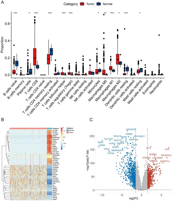 https://cdn.ncbi.nlm.nih.gov/pmc/blobs/e082/11303797/a9ce7121dfcb/41598_2024_69183_Fig1_HTML.jpg