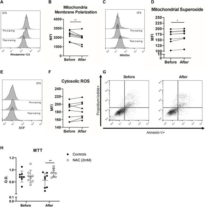 https://cdn.ncbi.nlm.nih.gov/pmc/blobs/e082/9298496/4929cfa54d8f/fphys-13-855133-g002.jpg