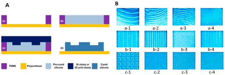 https://cdn.ncbi.nlm.nih.gov/pmc/blobs/e087/12026865/11423fcd0d79/gels-11-00239-g005.jpg