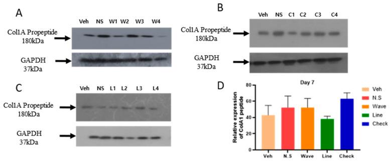 https://cdn.ncbi.nlm.nih.gov/pmc/blobs/e087/12026865/712167c4ad93/gels-11-00239-g002.jpg
