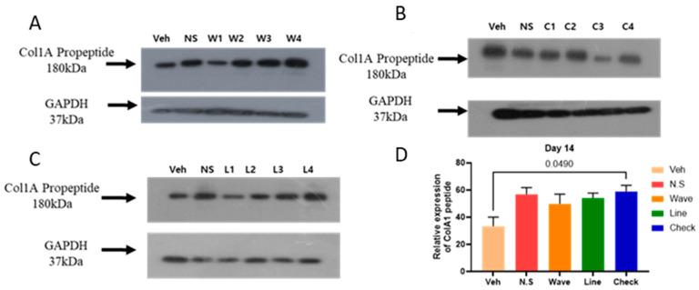 https://cdn.ncbi.nlm.nih.gov/pmc/blobs/e087/12026865/b6bad2bbec41/gels-11-00239-g003.jpg