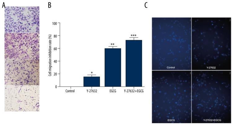 https://cdn.ncbi.nlm.nih.gov/pmc/blobs/e089/5063426/16402c19748a/medscimonit-22-3529-g002.jpg
