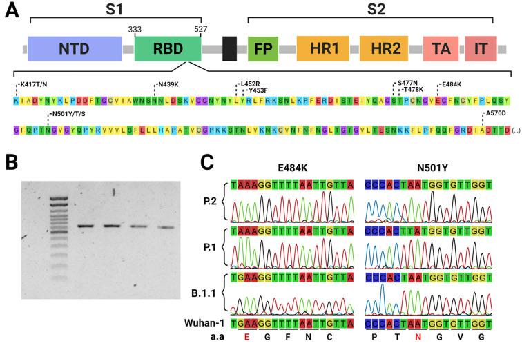 https://cdn.ncbi.nlm.nih.gov/pmc/blobs/e089/8105304/552b9bbf3f9d/gr1_lrg.jpg