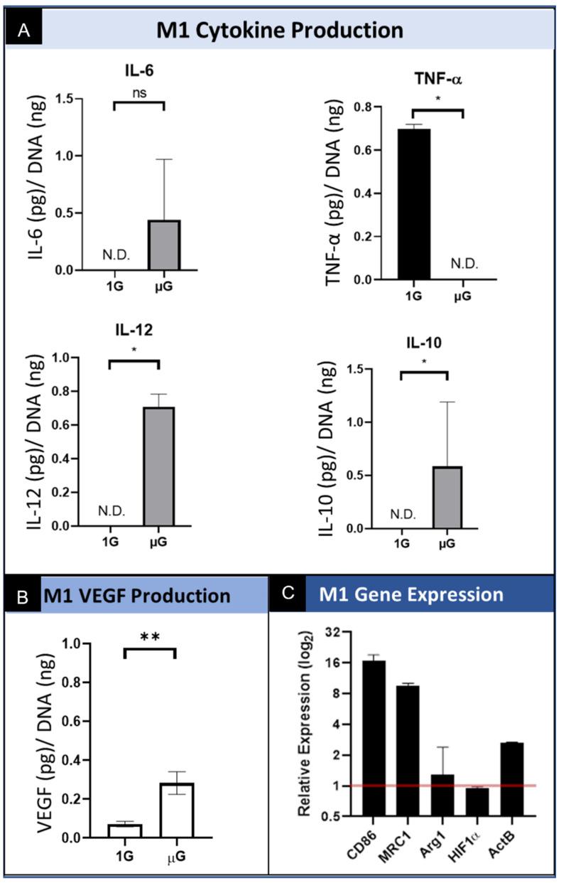 https://cdn.ncbi.nlm.nih.gov/pmc/blobs/e089/8472625/65c48733f2ce/biomedicines-09-01205-g004.jpg