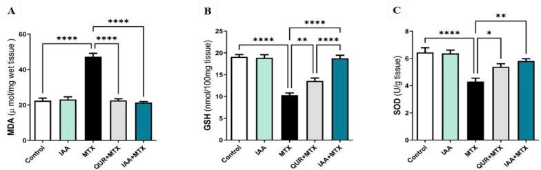 https://cdn.ncbi.nlm.nih.gov/pmc/blobs/e08b/12195934/576801a3088e/pharmaceuticals-18-00828-g002.jpg
