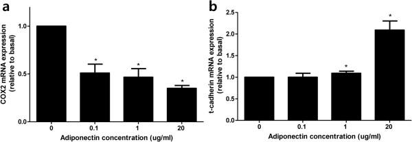 https://cdn.ncbi.nlm.nih.gov/pmc/blobs/e08c/4232655/4db42468fb27/12885_2013_4989_Fig6_HTML.jpg