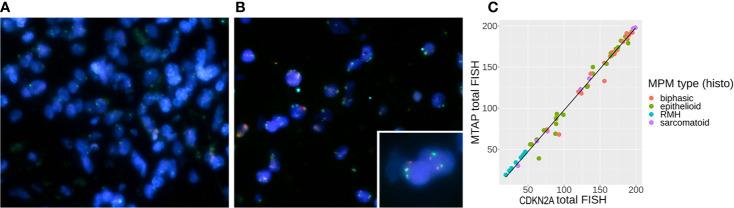 https://cdn.ncbi.nlm.nih.gov/pmc/blobs/e08c/7693432/8527a3d984d9/fonc-10-579327-g002.jpg