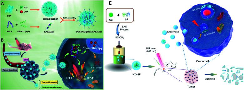 https://cdn.ncbi.nlm.nih.gov/pmc/blobs/e08c/9418715/c8c51c9c5c79/d1na00059d-f7.jpg