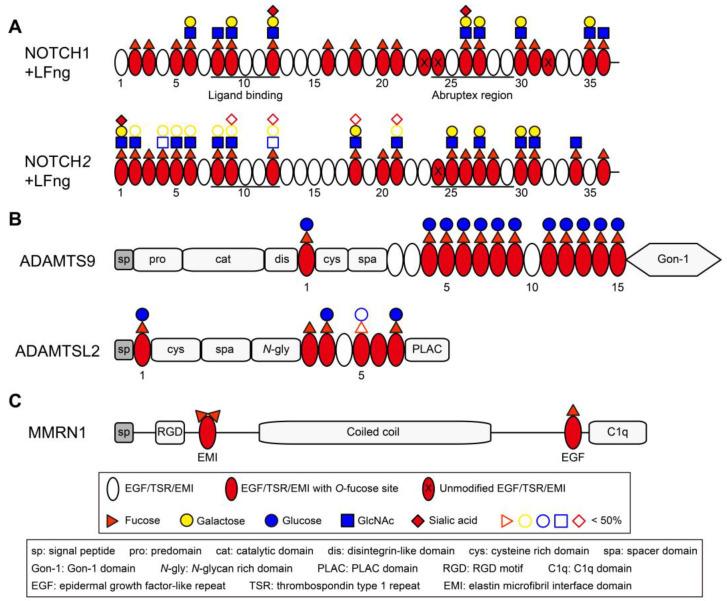 https://cdn.ncbi.nlm.nih.gov/pmc/blobs/e08e/11990869/0bd7b7b3e2c8/molecules-30-01470-g004.jpg