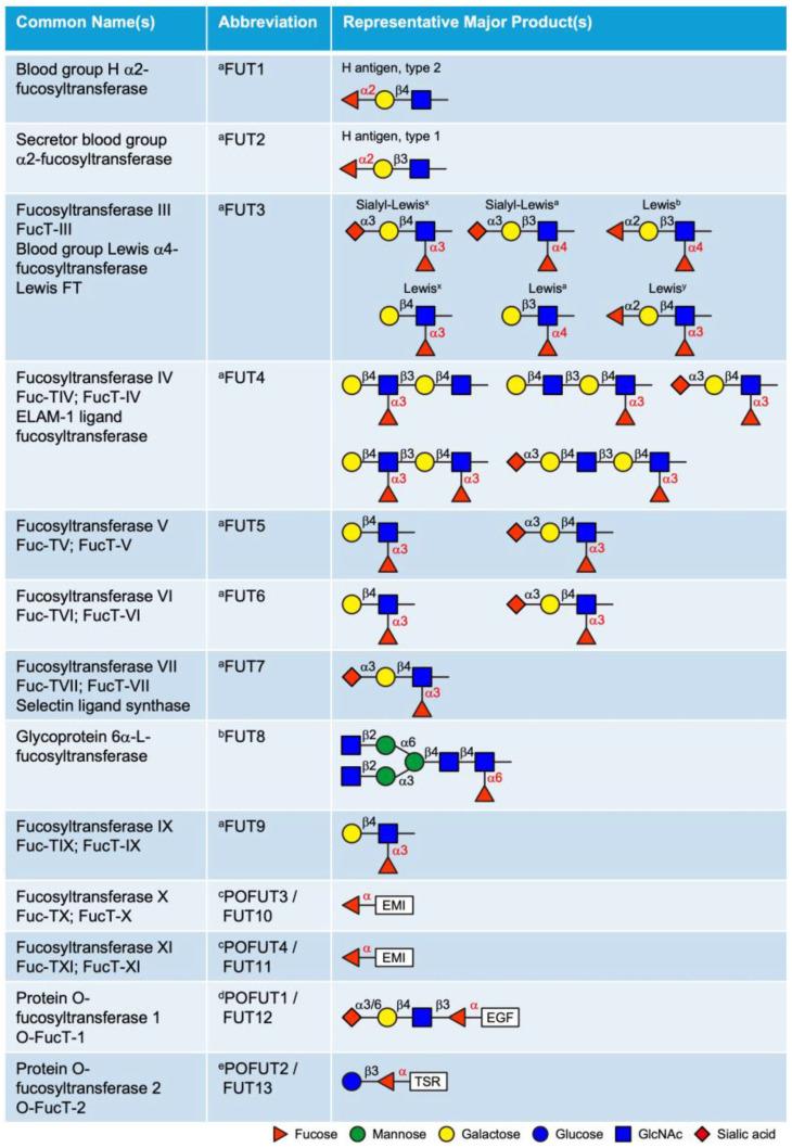 https://cdn.ncbi.nlm.nih.gov/pmc/blobs/e08e/11990869/341add2dab31/molecules-30-01470-g002.jpg