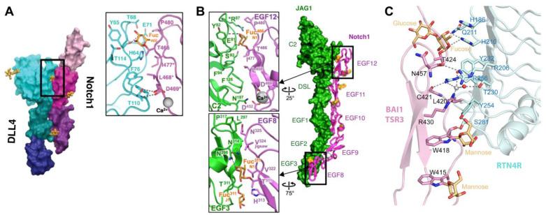 https://cdn.ncbi.nlm.nih.gov/pmc/blobs/e08e/11990869/55a0f9d8c73c/molecules-30-01470-g005.jpg