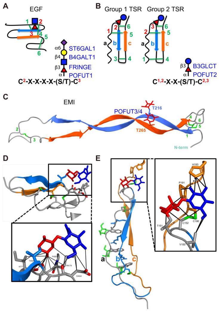 https://cdn.ncbi.nlm.nih.gov/pmc/blobs/e08e/11990869/f20935f7274f/molecules-30-01470-g003.jpg