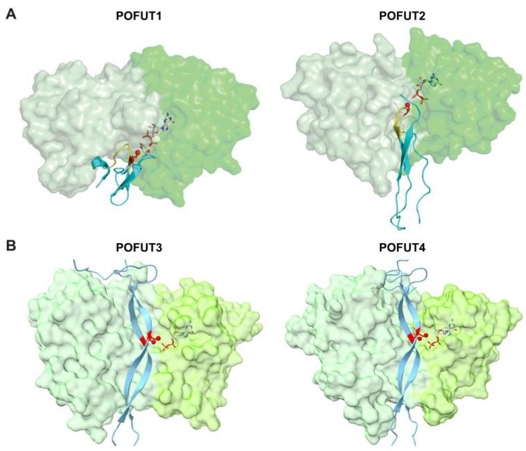 https://cdn.ncbi.nlm.nih.gov/pmc/blobs/e08e/11990869/f52dda321249/molecules-30-01470-g006.jpg