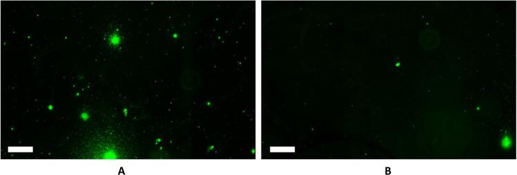 https://cdn.ncbi.nlm.nih.gov/pmc/blobs/e08e/12368824/9d128e65dd07/ao5c04995_0004.jpg