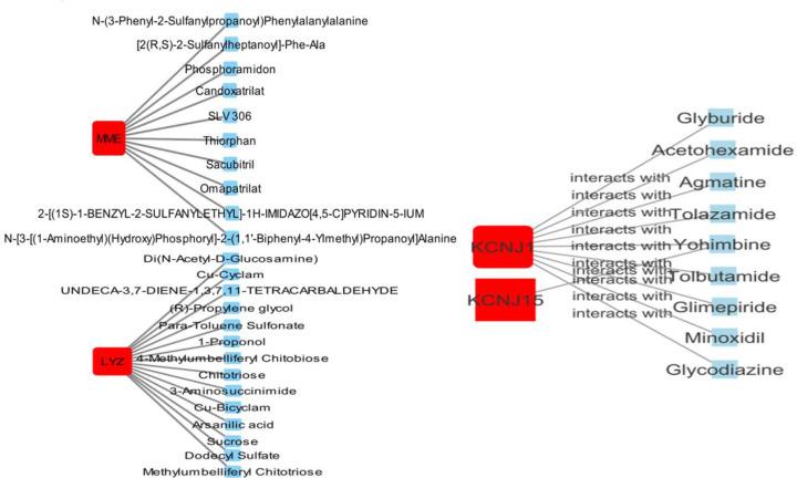 https://cdn.ncbi.nlm.nih.gov/pmc/blobs/e08f/9679400/1a8307341d1d/bsr-42-bsr20221108-g9.jpg