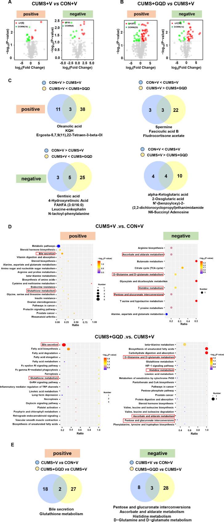 https://cdn.ncbi.nlm.nih.gov/pmc/blobs/e091/11416015/a646fc658390/12906_2024_4638_Fig2_HTML.jpg