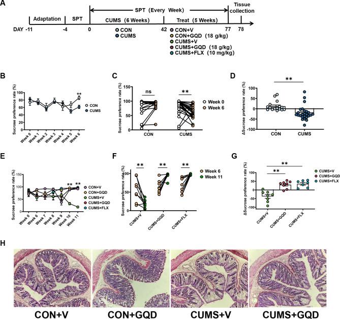 https://cdn.ncbi.nlm.nih.gov/pmc/blobs/e091/11416015/bef6fe4898e9/12906_2024_4638_Fig4_HTML.jpg