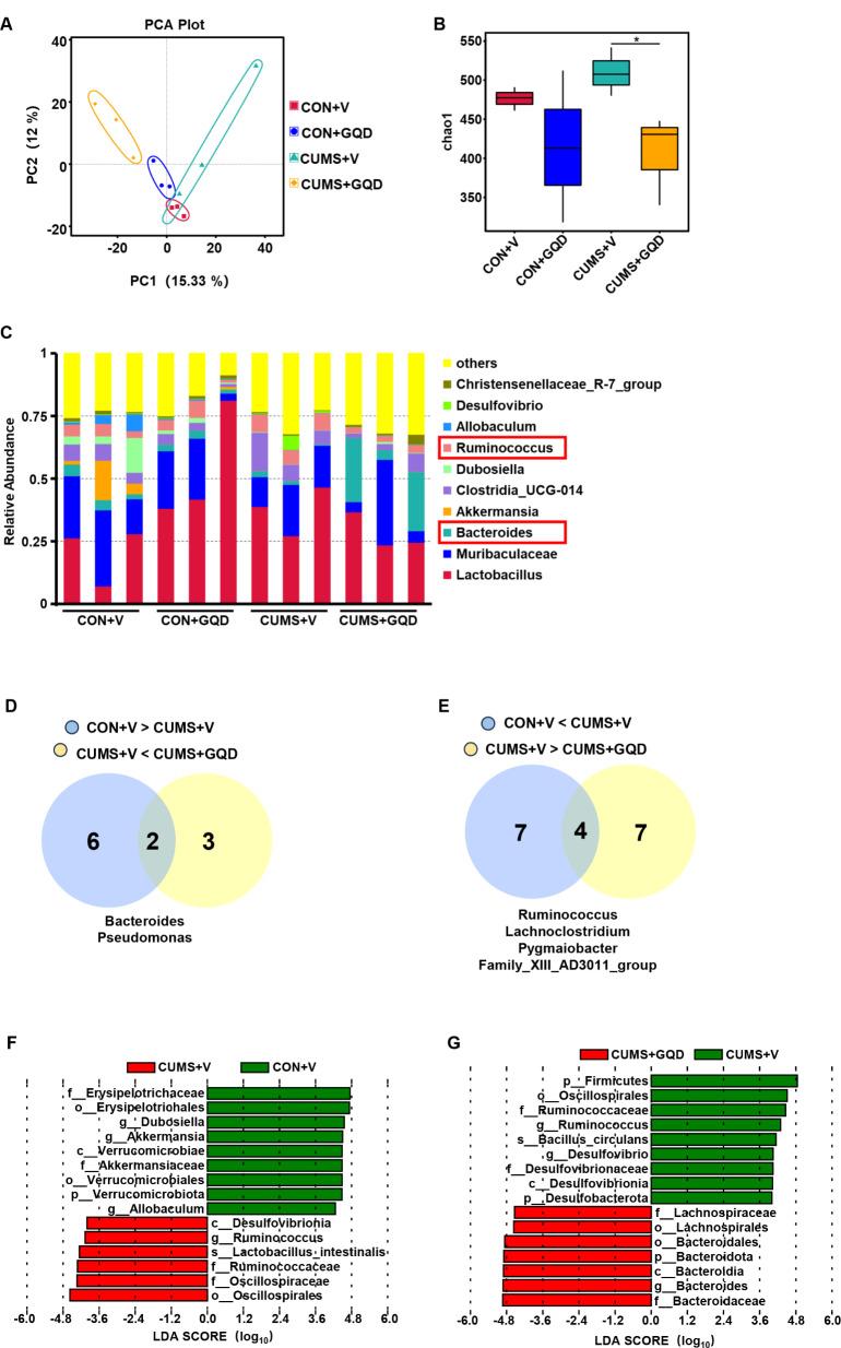 https://cdn.ncbi.nlm.nih.gov/pmc/blobs/e091/11416015/defece337e6b/12906_2024_4638_Fig1_HTML.jpg