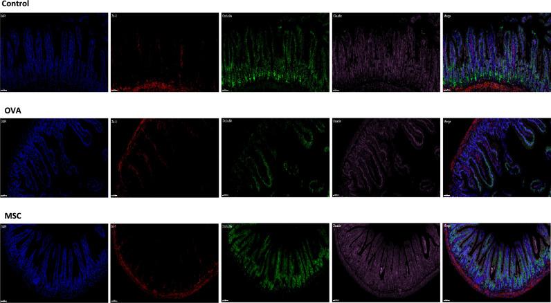 https://cdn.ncbi.nlm.nih.gov/pmc/blobs/e092/12106652/5cea9318b66f/41598_2025_3563_Fig3_HTML.jpg