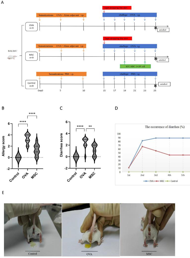 https://cdn.ncbi.nlm.nih.gov/pmc/blobs/e092/12106652/afb1a73a897b/41598_2025_3563_Fig1a_HTML.jpg