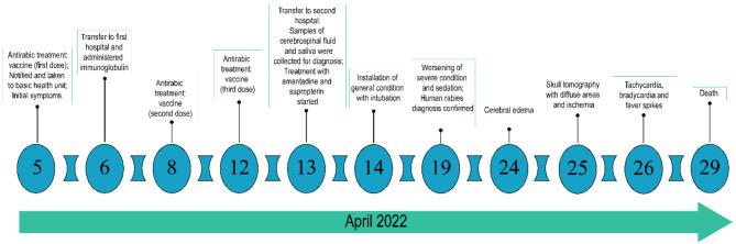 https://cdn.ncbi.nlm.nih.gov/pmc/blobs/e093/11515255/6cea13ba1dca/12985_2024_2536_Fig2_HTML.jpg