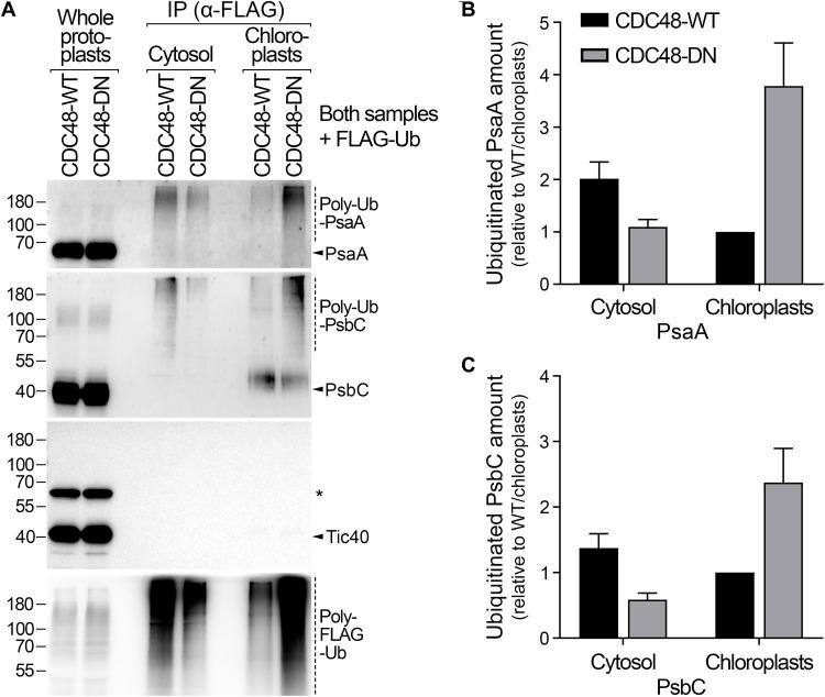 https://cdn.ncbi.nlm.nih.gov/pmc/blobs/e094/9668298/6cdff4512abb/sciadv.abq7352-f5.jpg