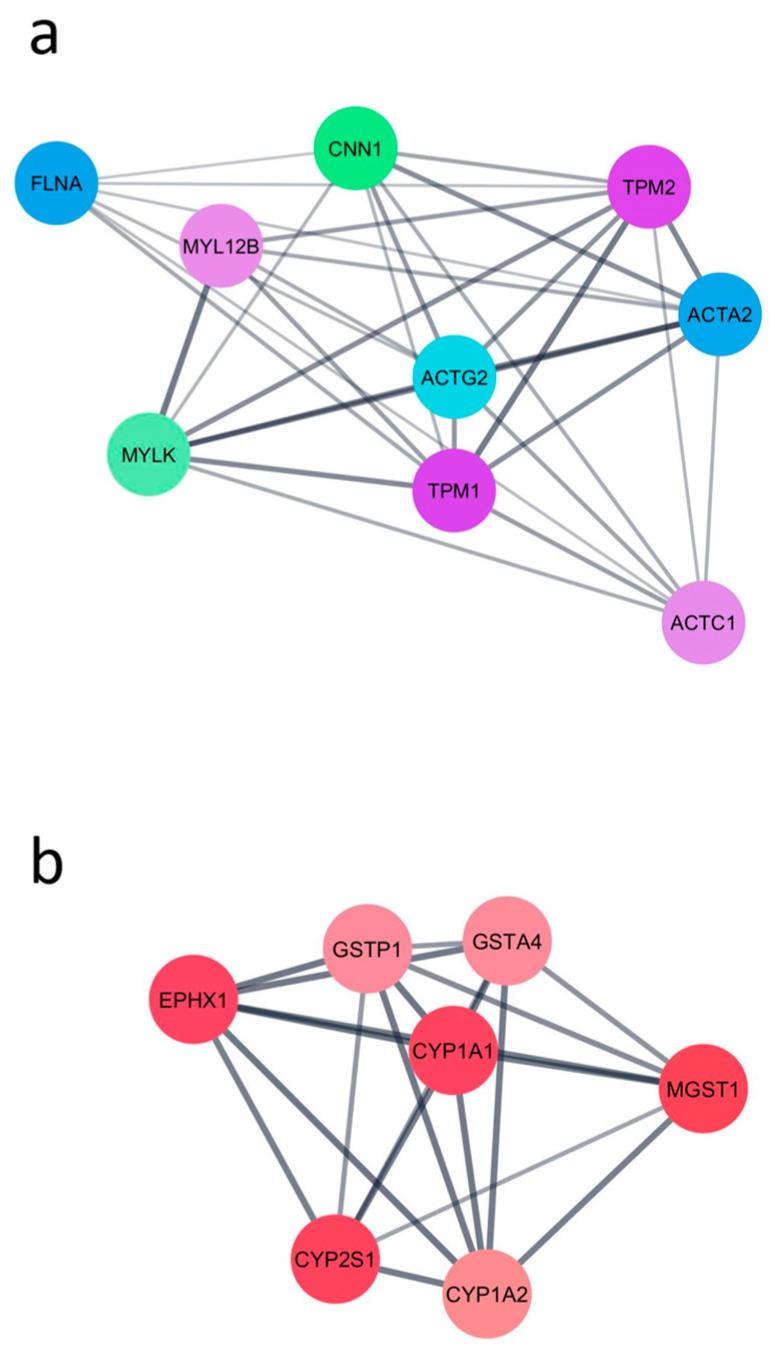 https://cdn.ncbi.nlm.nih.gov/pmc/blobs/e095/12197428/8095c0a29f17/toxins-17-00294-g001.jpg