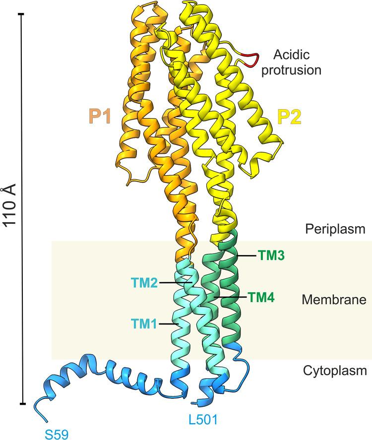 https://cdn.ncbi.nlm.nih.gov/pmc/blobs/e096/9769921/9bb442d420b8/spectrum.02677-22-f009.jpg