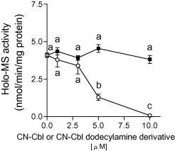 https://cdn.ncbi.nlm.nih.gov/pmc/blobs/e098/4141197/0ea45e64163f/gr6.jpg