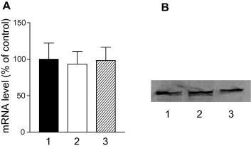 https://cdn.ncbi.nlm.nih.gov/pmc/blobs/e098/4141197/ab4ed3fb6e54/gr7.jpg