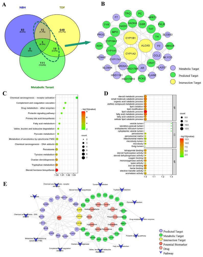 https://cdn.ncbi.nlm.nih.gov/pmc/blobs/e09a/10222419/7b7dbba64160/molecules-28-04064-g008.jpg