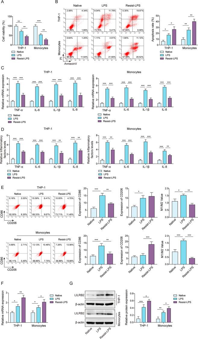 https://cdn.ncbi.nlm.nih.gov/pmc/blobs/e09c/12183897/1ce54302b532/13062_2025_669_Fig1_HTML.jpg