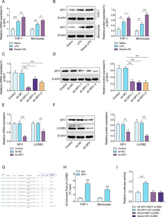 https://cdn.ncbi.nlm.nih.gov/pmc/blobs/e09c/12183897/78f911fc7174/13062_2025_669_Fig5_HTML.jpg