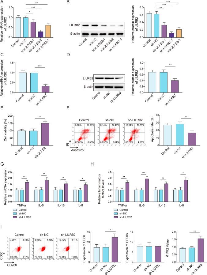 https://cdn.ncbi.nlm.nih.gov/pmc/blobs/e09c/12183897/89ac034d863a/13062_2025_669_Fig2_HTML.jpg
