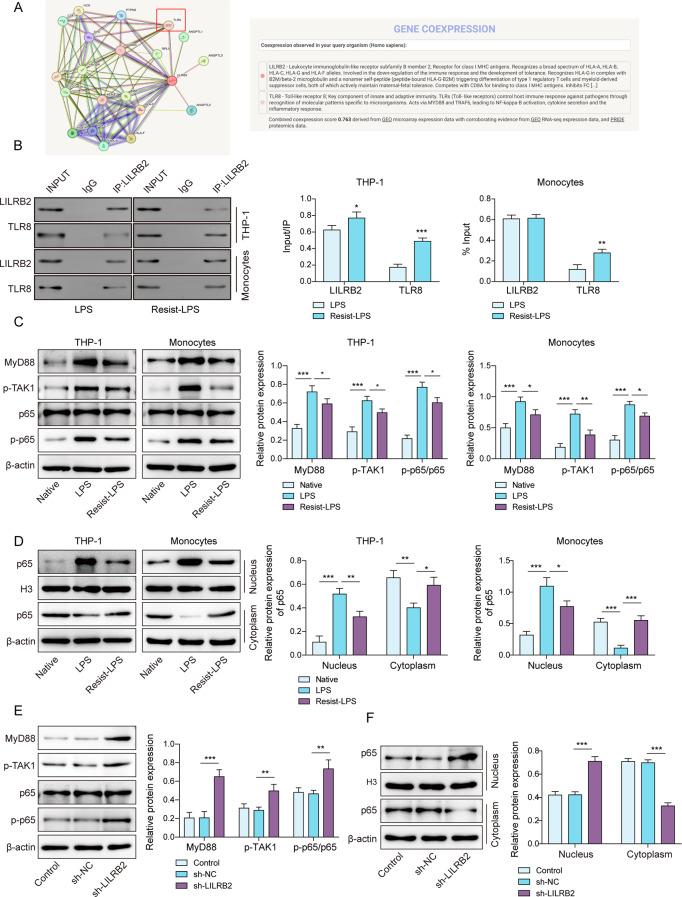 https://cdn.ncbi.nlm.nih.gov/pmc/blobs/e09c/12183897/8ea622457125/13062_2025_669_Fig3_HTML.jpg