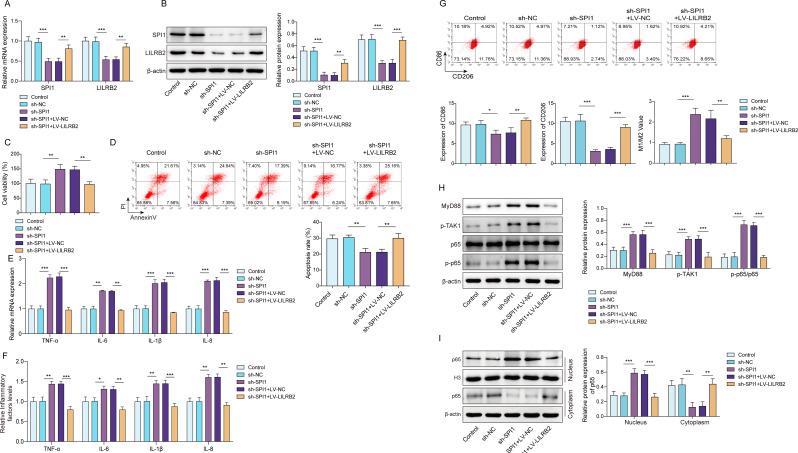 https://cdn.ncbi.nlm.nih.gov/pmc/blobs/e09c/12183897/9f484f1efd7e/13062_2025_669_Fig6_HTML.jpg