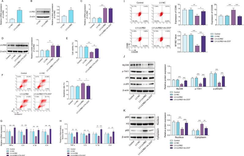 https://cdn.ncbi.nlm.nih.gov/pmc/blobs/e09c/12183897/c7d0804d1f88/13062_2025_669_Fig4_HTML.jpg