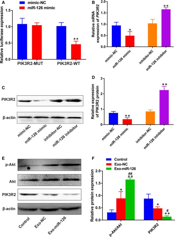 https://cdn.ncbi.nlm.nih.gov/pmc/blobs/e09c/7882955/f02937bf4ee0/JCMM-25-2148-g003.jpg