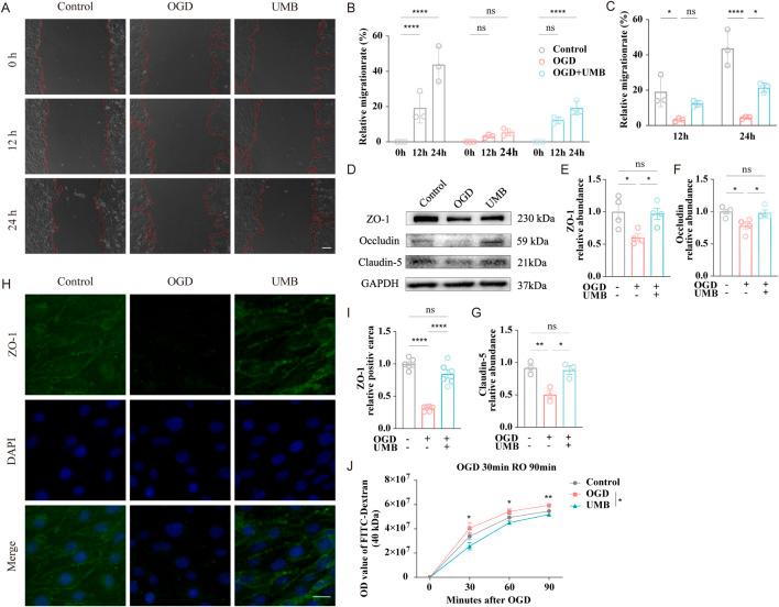 https://cdn.ncbi.nlm.nih.gov/pmc/blobs/e09d/11955776/02c676091cf6/fphar-16-1552579-g003.jpg