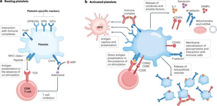 https://cdn.ncbi.nlm.nih.gov/pmc/blobs/e0a0/9882748/935906403307/41577_2023_834_Fig1_HTML.jpg