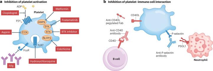 https://cdn.ncbi.nlm.nih.gov/pmc/blobs/e0a0/9882748/eaadd1ba2988/41577_2023_834_Fig4_HTML.jpg