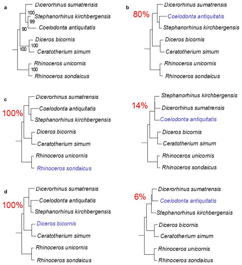 https://cdn.ncbi.nlm.nih.gov/pmc/blobs/e0a2/6894936/1278aa1f5366/EMS84015-f012.jpg