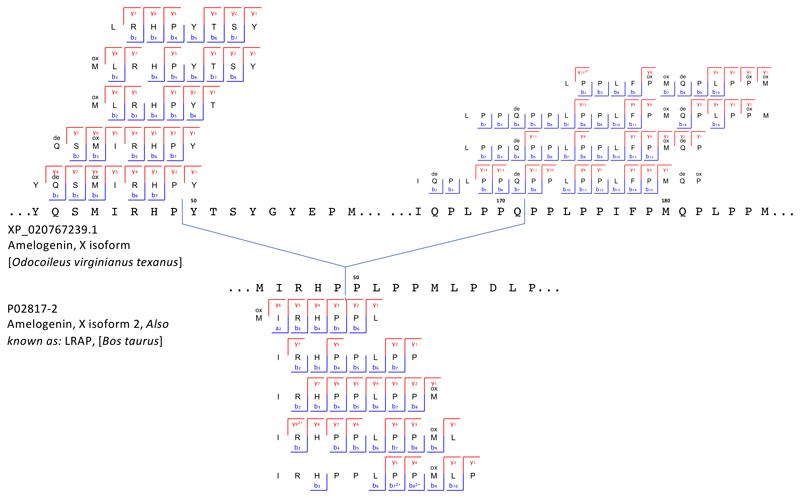 https://cdn.ncbi.nlm.nih.gov/pmc/blobs/e0a2/6894936/55d1508b3327/EMS84015-f007.jpg